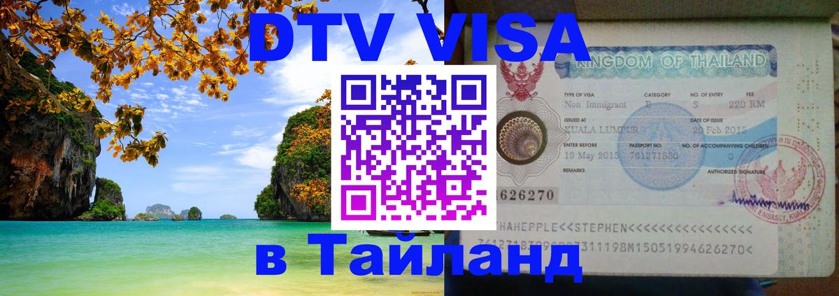 Сколько стоит DTV виза — актуальные цены, оформление даже без документов - Бердск  08.01.2026 